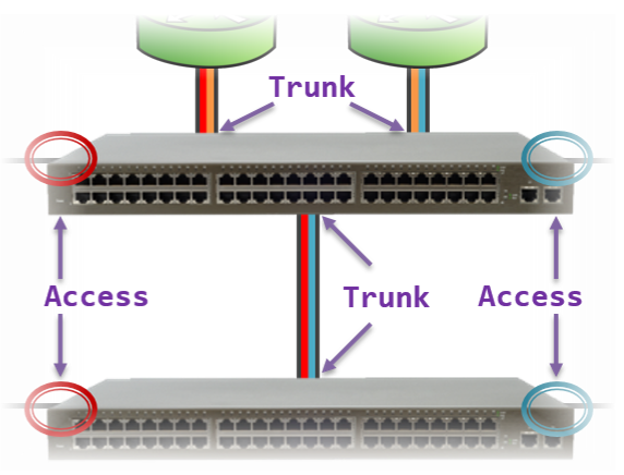 vlan trunk