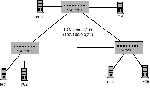 LAN-anel-stp.png