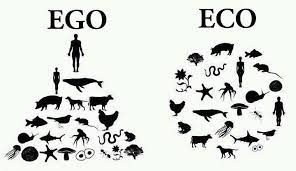 ego%20eco.jpg