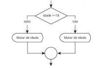 Estruturas de Decisão